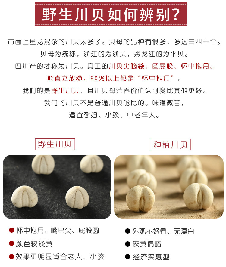 川贝 野生川贝母无硫松贝母批发炉贝母 伊贝母 新疆贝母大量现货