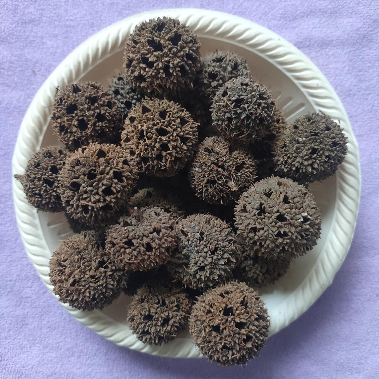 中药材路路通六六通枫树球枫球子枫实枫香果散装批发