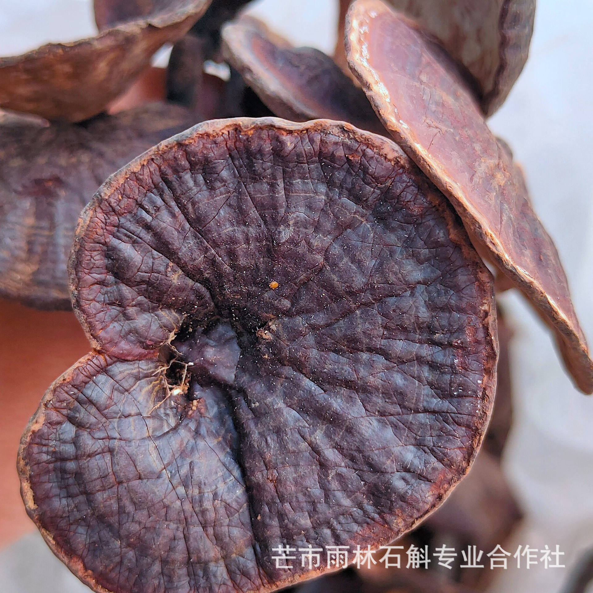 热帖灵芝安国药市价格数据(1月)作者:b2b-23786505850421云南野生品种