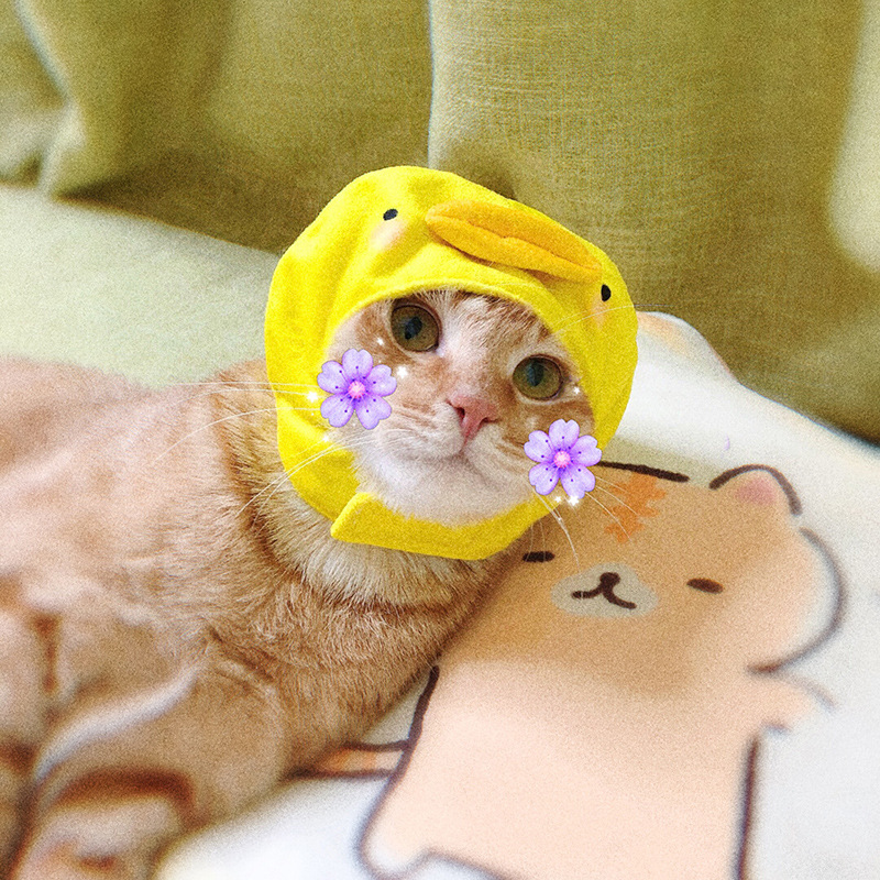 鬼灭之刃嘴平伊之助宠物用品小猫咪头套帽子装扮头饰cos拍照道具