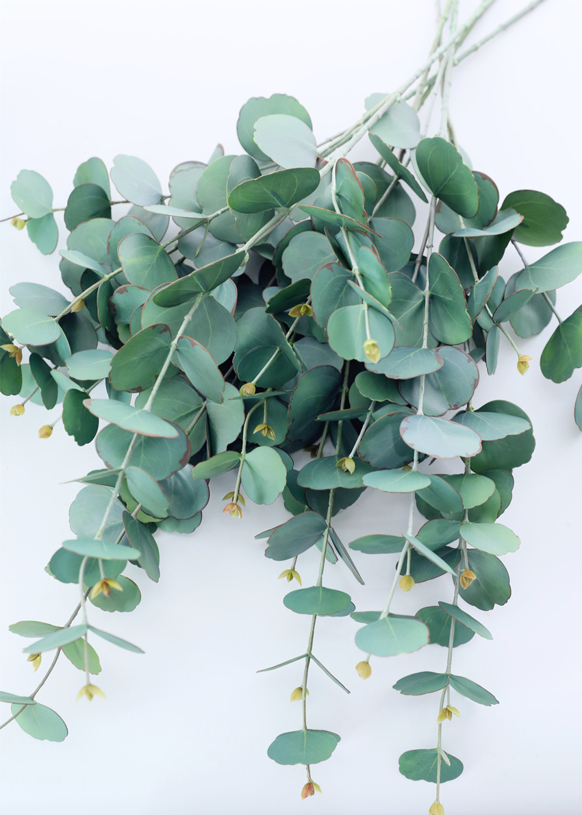 仿真花圆尤加利 金钱叶假花胶布3d 手工画色仿真植物高档叶材彩色