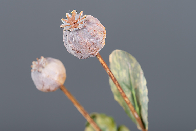 仿真罂粟果装饰花艺果实秋色虞美人果植物家居客厅酒店样板房摆设