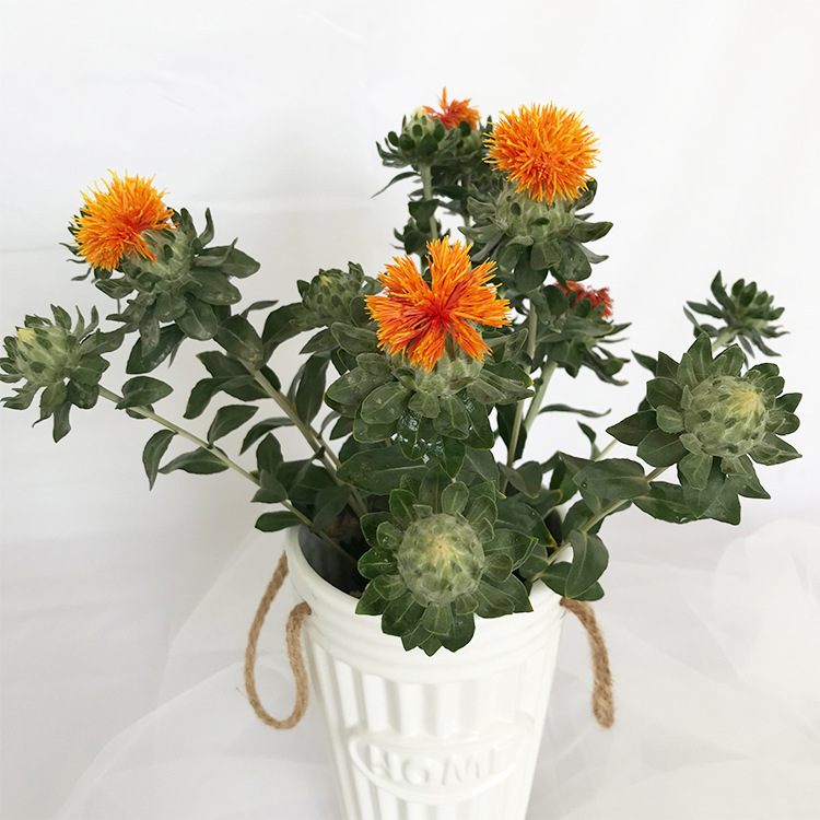 【橙菠萝】云南鲜切花插花水养花地直供一件代发