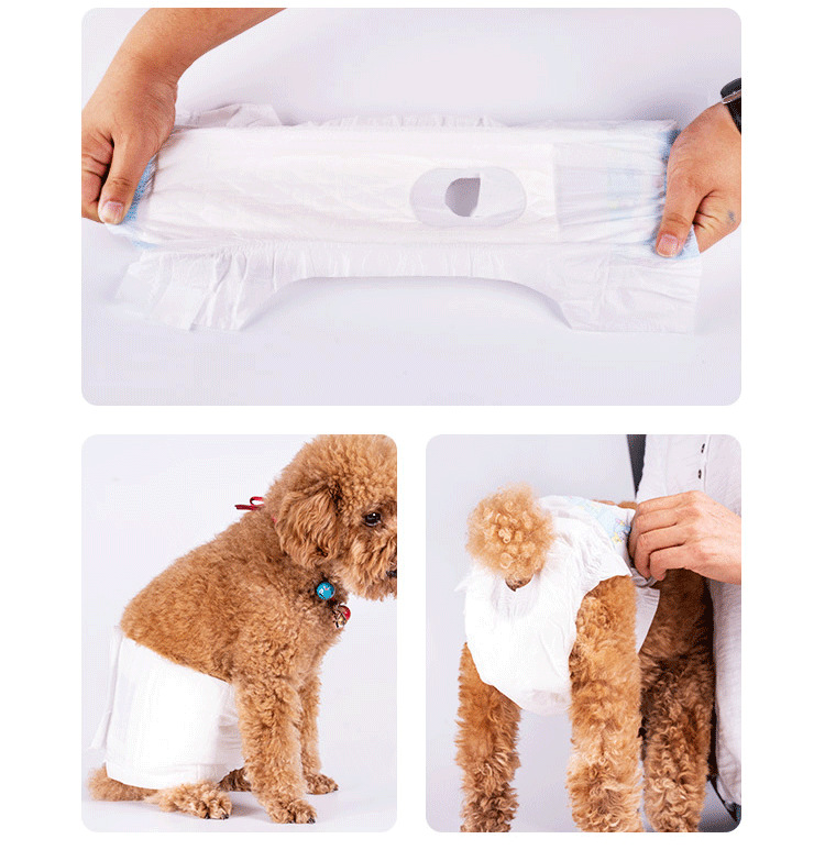 狗狗纸尿裤 公狗母狗尿不湿姨妈裤卫生巾安全裤泰迪 狗狗生理裤