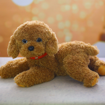仿真泰迪狗毛绒玩具公仔小狗狗玩偶贵宾犬布娃娃宠物犬陪伴玩具