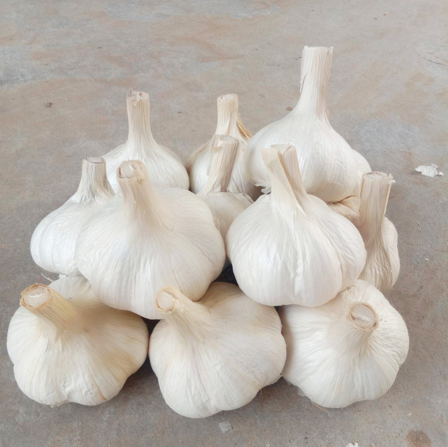 临沂市规格选择规格属性白皮蒜品种莊超食品品牌1000重量商品评价暂无