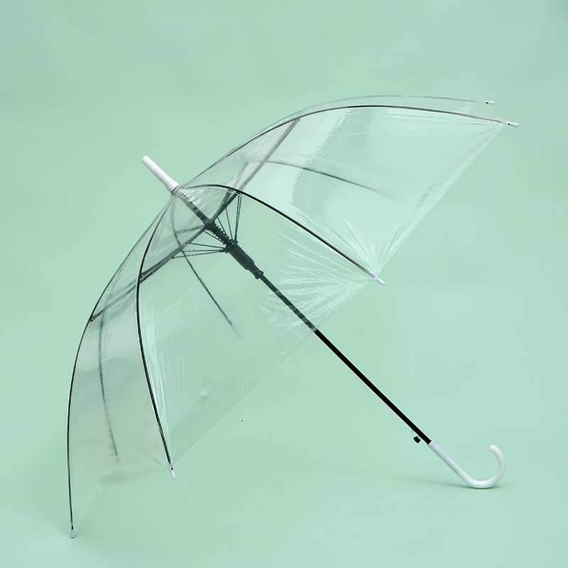 Factory Direct Sales Transparent Long Handle Umbrella Modern Simple and Fresh Umbrella Female Creative Eva Student Umbrella