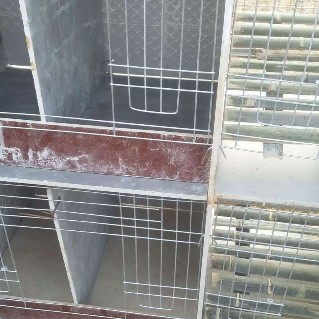 量大 易于清理瓷砖兔笼子母笼 养殖场用瓷砖兔笼子母笼
