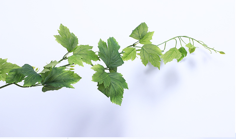 万荷仿真藤条厂家定制批发提子叶壁挂森系主题餐厅吊顶植物墙装饰