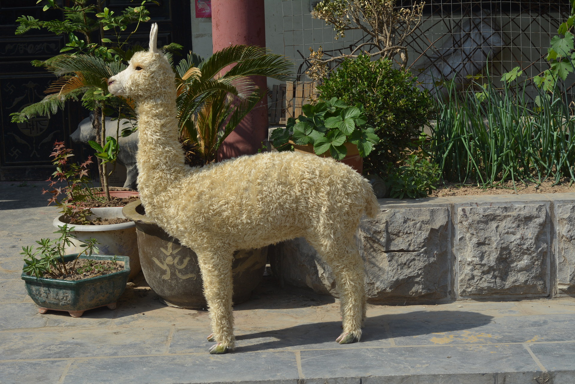 厂家供应仿真皮毛羊驼模型 仿真动物模型 园林装饰可定制