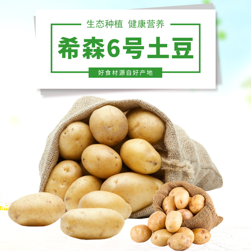 新品土豆【希森6号】当季新鲜现挖大小洋芋马铃薯电商可一件代发