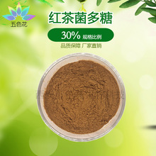 红茶菌多糖30% 红茶菌提取物 红茶菌粉 量大从优 厂家直供 现货