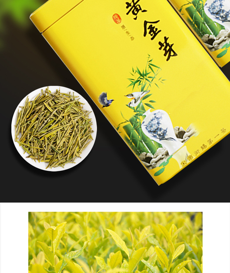 正宗安吉黄金芽茶黄金叶2022新茶罐装茶叶批发原产地茶厂直销100g