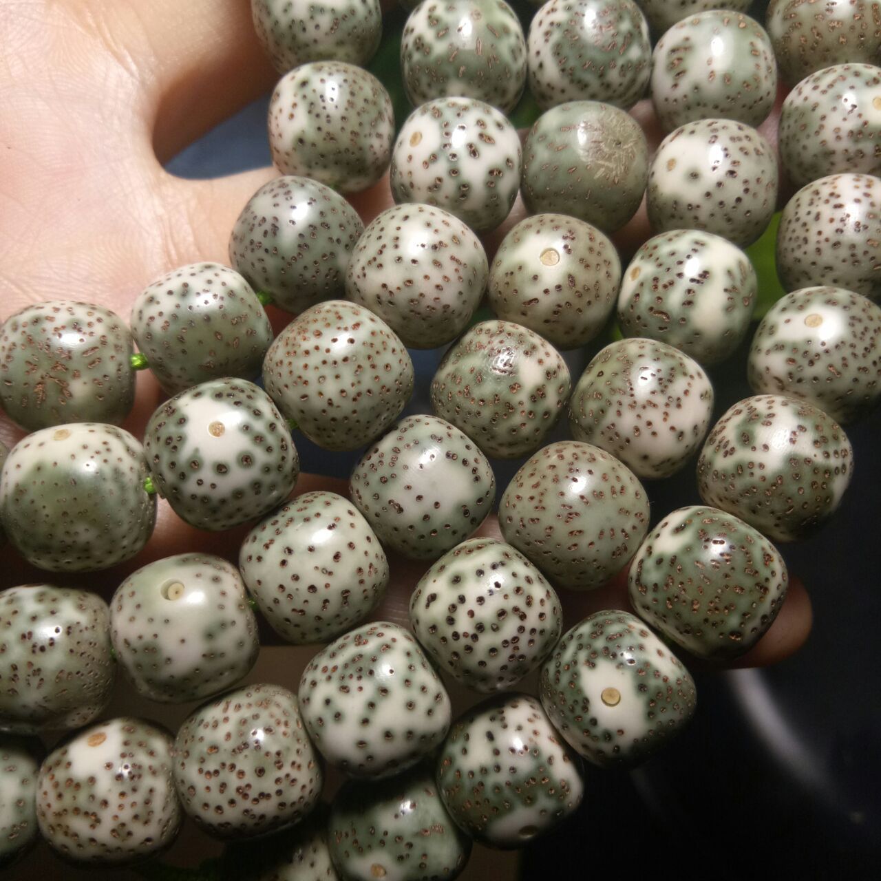 原生态绿皮阴皮星月菩提老型桶珠万目高抛正月