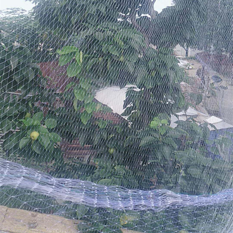 果树果园防鸟网a长武果树果园防鸟网a果树果园防鸟网厂家户外防鸟