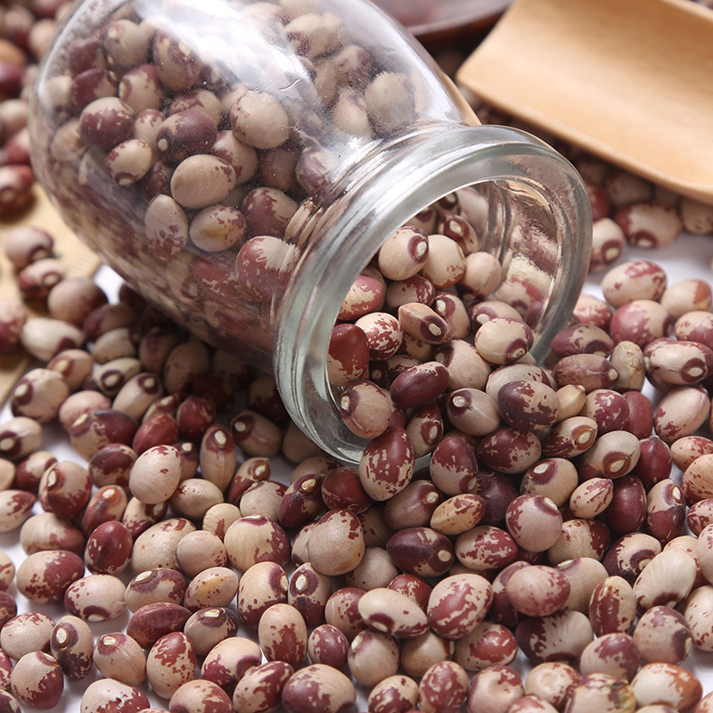 批发 小花豆奶花豆 奶圆芸豆熬粥五谷杂粮袋装25kg