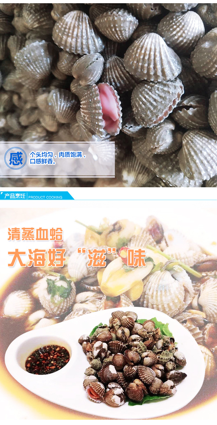 新鲜海鲜 鲜活雪蛤 血蛤毛蛤蜊鲜活毛蚶蛤蜊毛蛤全国水产贝类批发