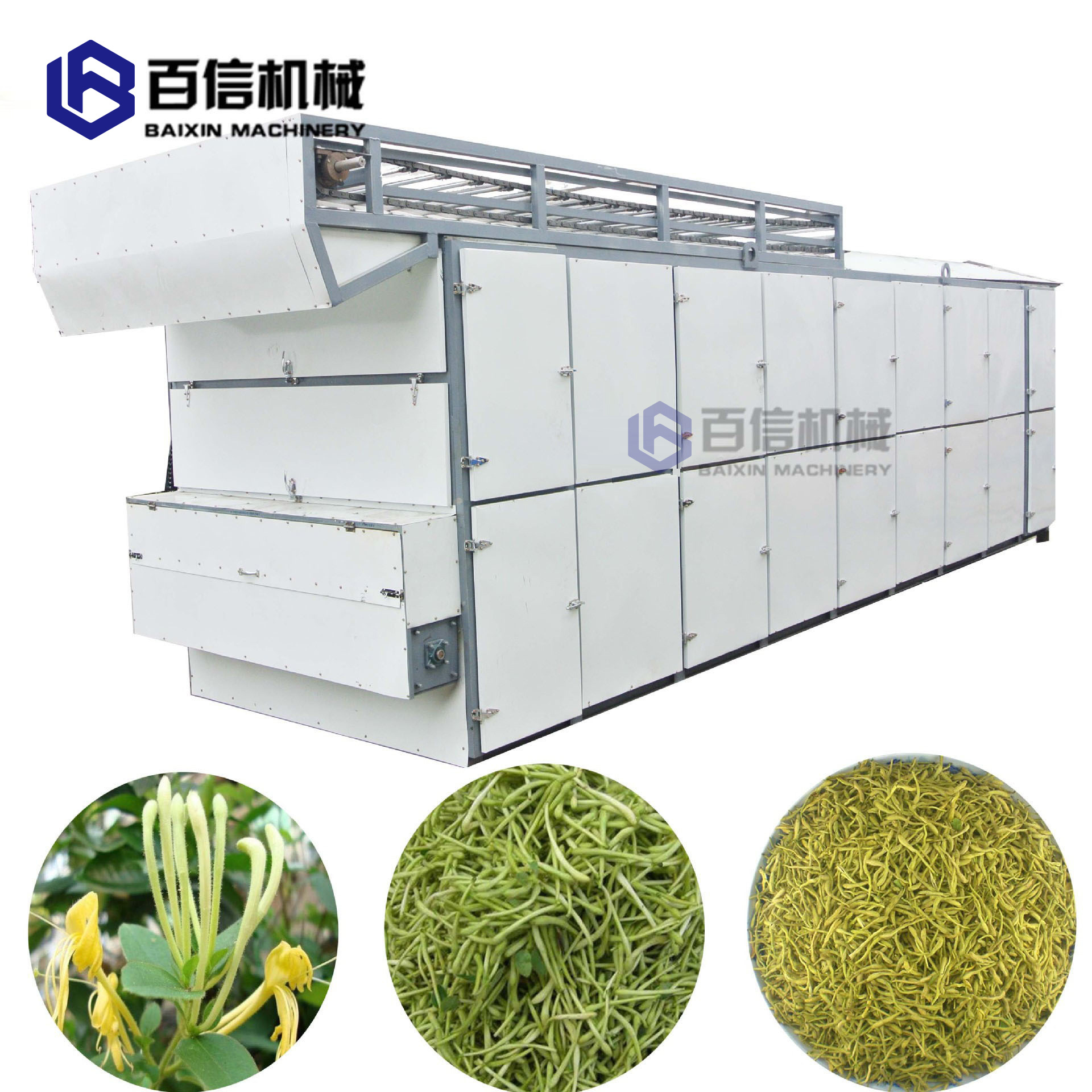 金银花烘干机金银花专用带式烘干机全自动金银花杀青干燥机