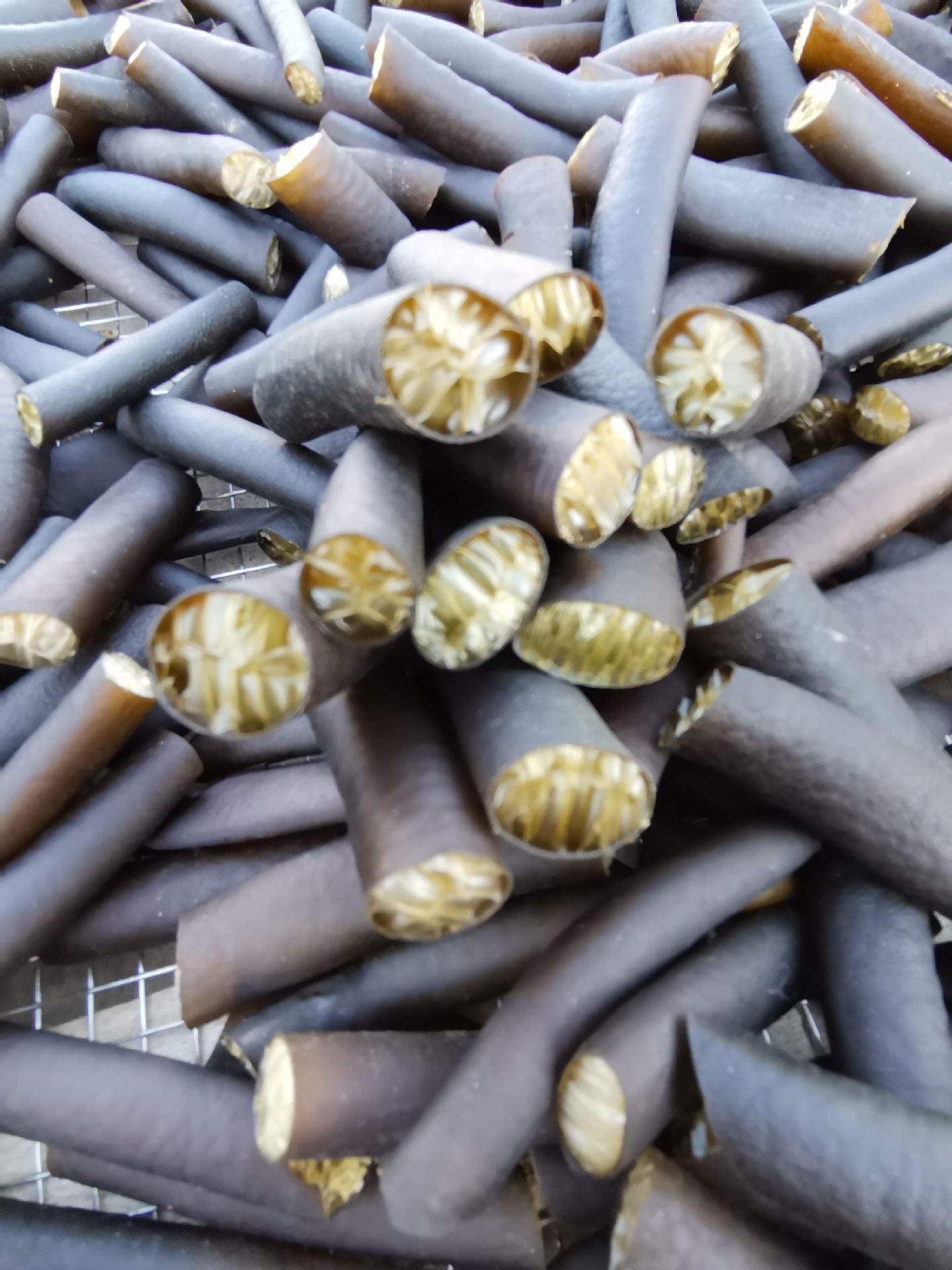 厂家批发欢迎来电 海笋厂家海茸厂家 干海笋 南极冰笋 南极海茸