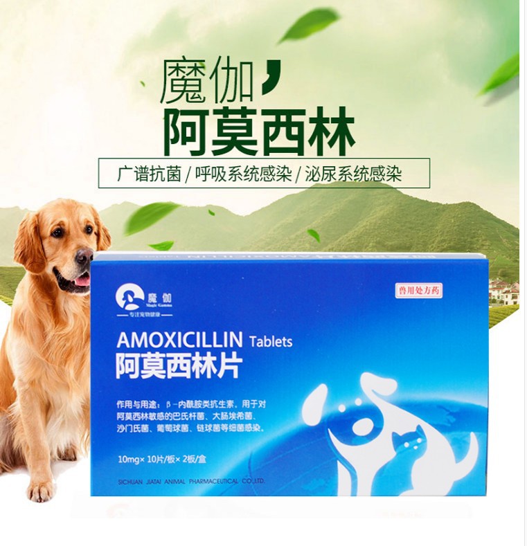 阿莫西林宠物狗猫感冒咳嗽支气管犬窝咳猫鼻子支20片/盒
