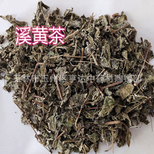 广西溪黄茶 粗梗大叶溪黄草茶批发 三和茶农户自产甘甜