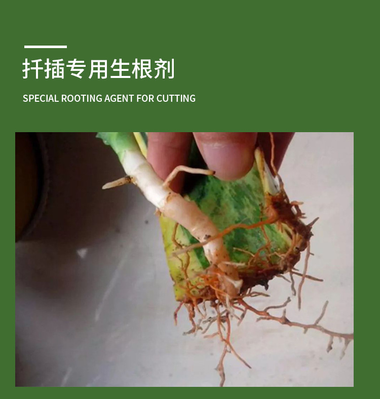 厂家直销扦插育苗专用生根剂 苗木果树绿化树生根壮苗生根剂 包邮