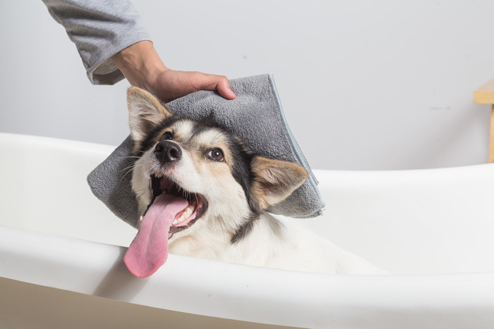 宠物洗澡按摩刷 狗狗洗澡按摩梳 清洁美容工具 除毛刷洗澡刷