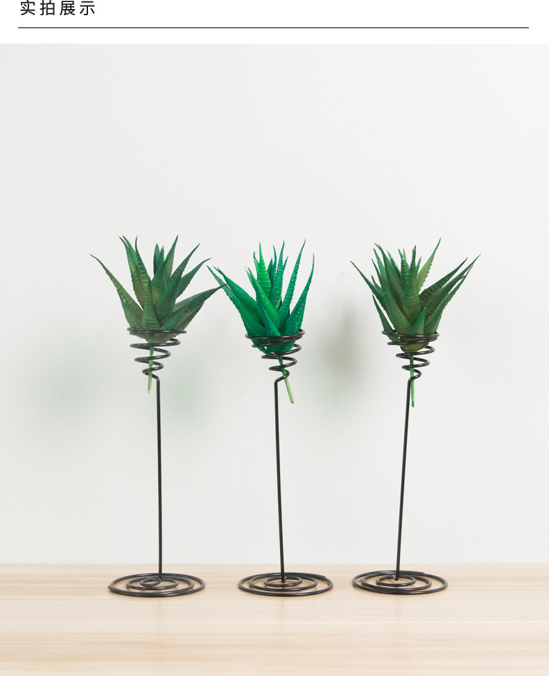 跨境桌面植物空气凤梨底座 办公室盆栽绿植养护金属支架现货批发