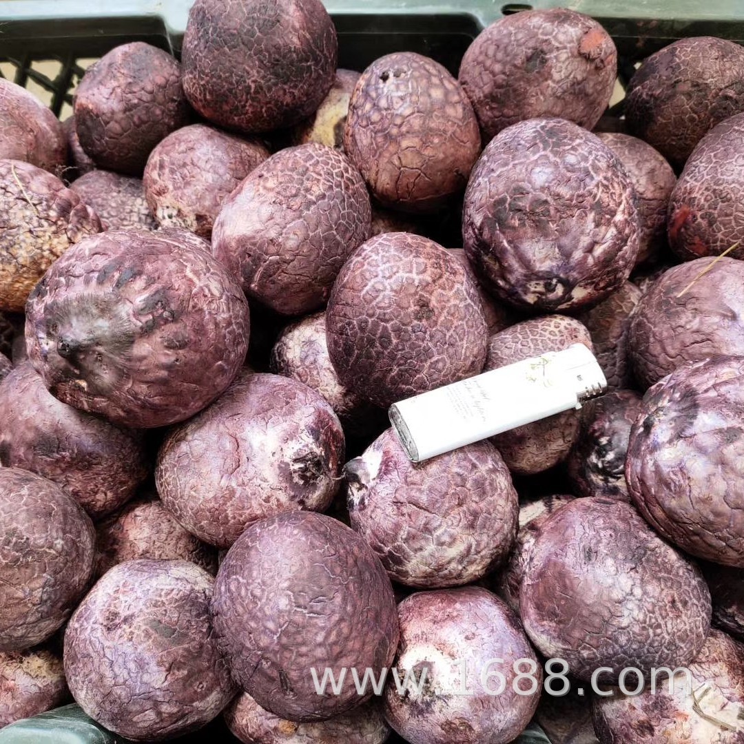 新鲜红托竹荪蛋云南特产酒店餐饮私房菜食材供应