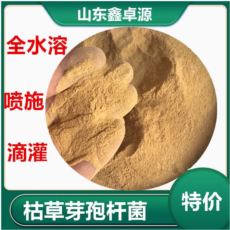 枯草芽孢杆菌微生物菌剂农业种植水产饲料全水溶枯草芽孢杆菌