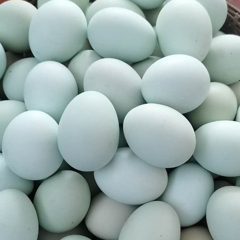 【韩式惠康】绿皮乌鸡蛋礼盒装包邮农家散养新鲜草鸡蛋整箱批发