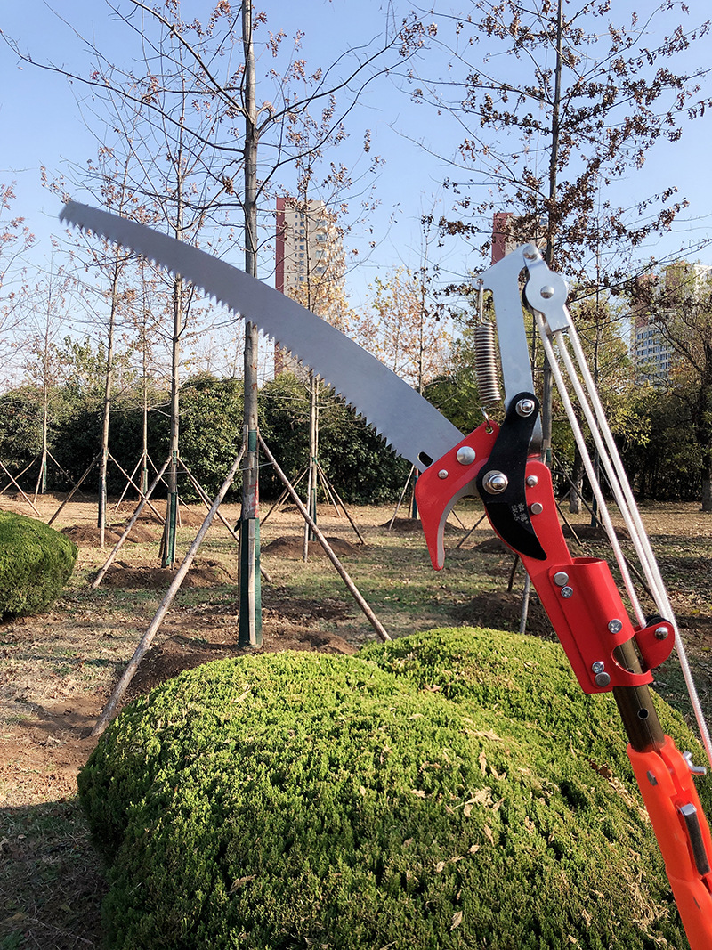 松鹤高枝剪 sk5钢省力高空剪 摘果园林修枝剪 粗枝伸缩剪 带锯片
