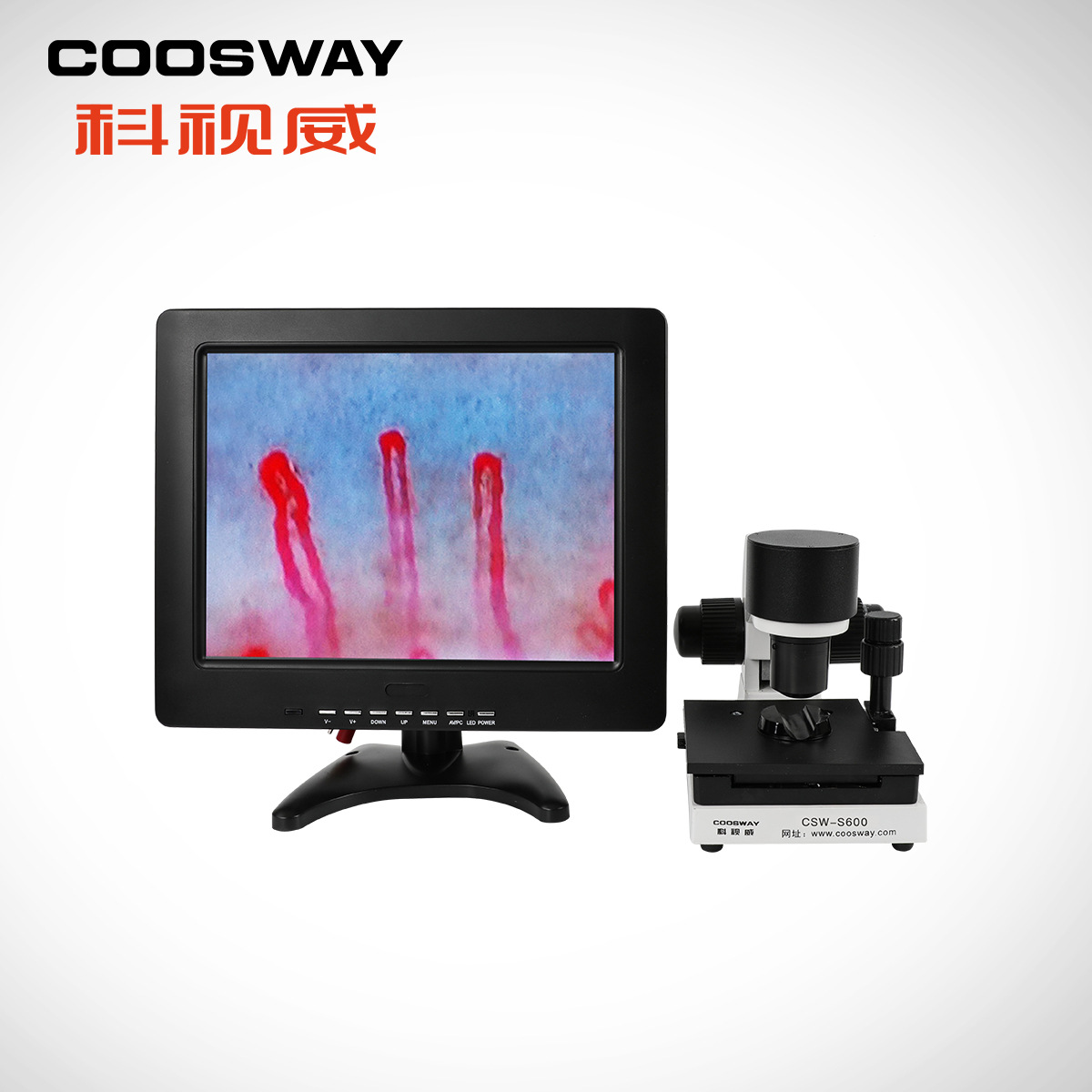 科视威微循环检测仪 csw-s600 800倍放大 2021新款