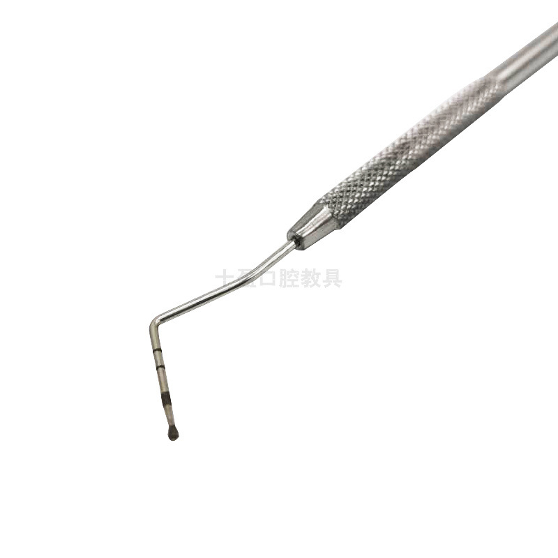 牙科 牙周刻度探针 不锈钢齿科探针 探针口腔齿科材料 单头