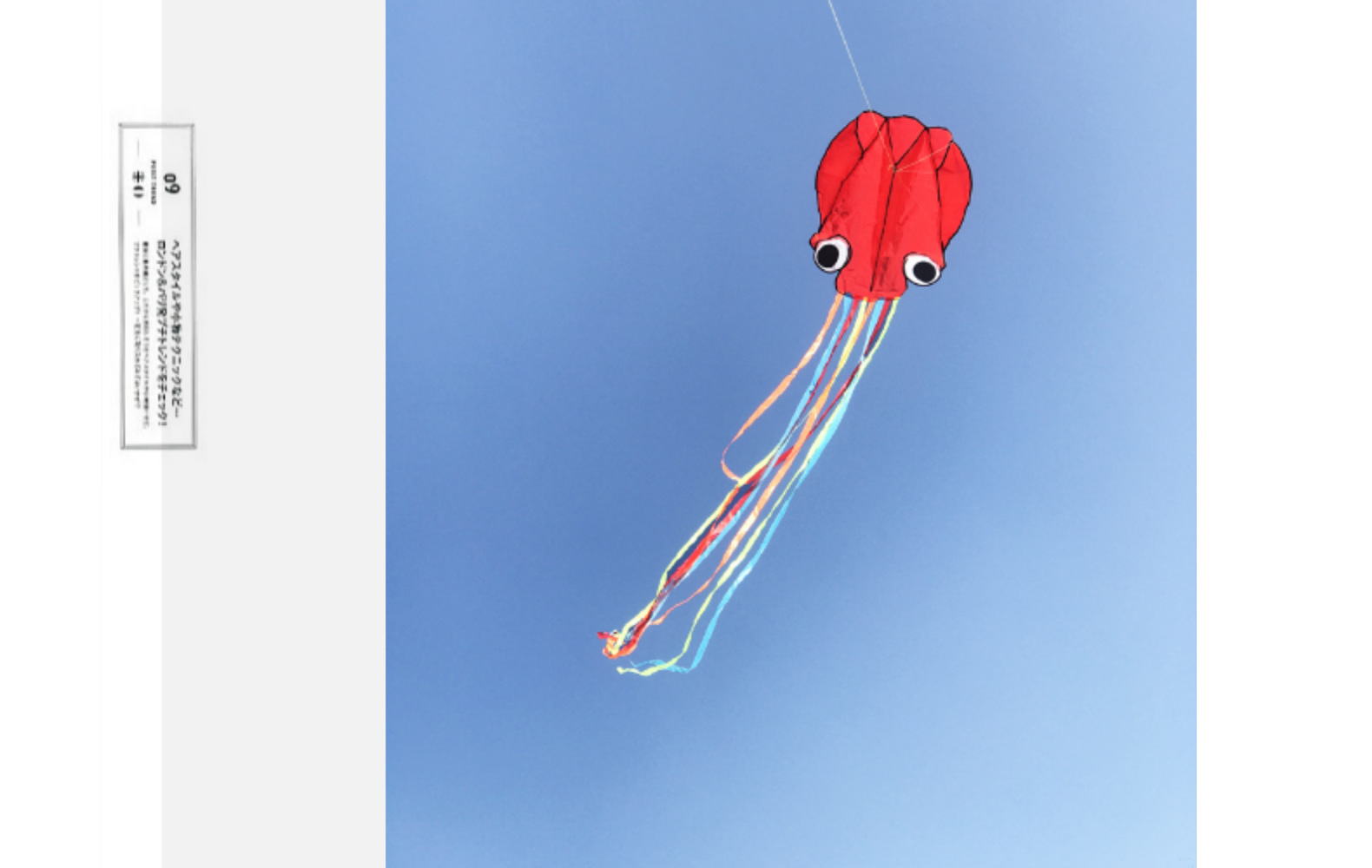 潍坊风筝新款批发4米软体无骨架章鱼风筝 成人大风筝长尾多色好飞