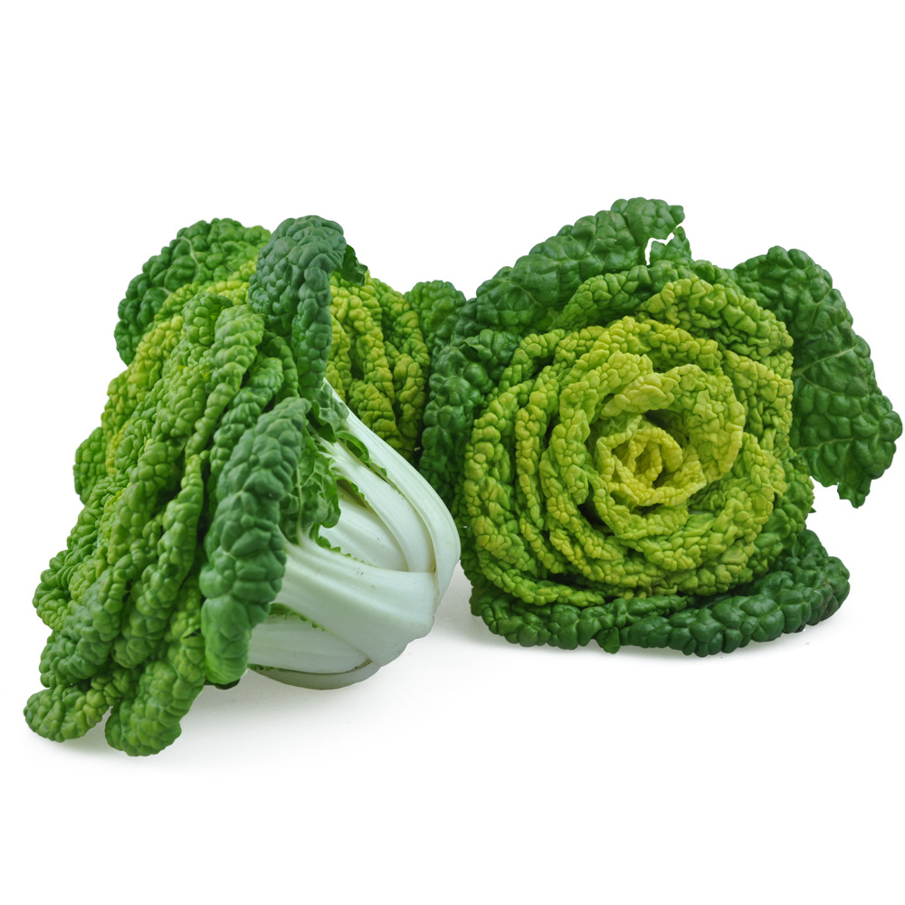 【新鲜茼蒿】-新鲜茼蒿厂家,品牌,图片,热帖-阿里巴巴