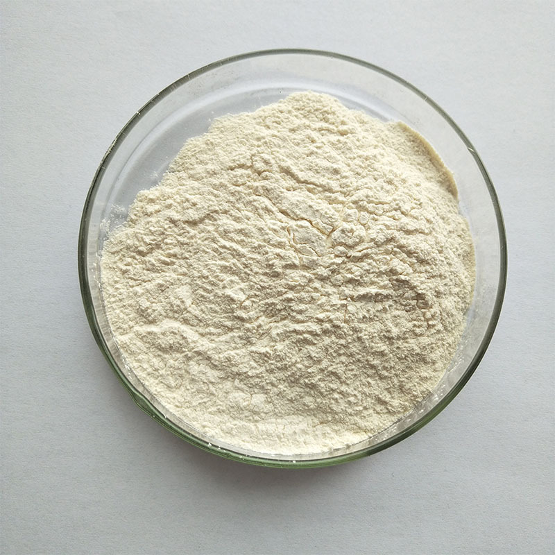 纳豆酵素 纳豆酵素粉 纳豆激酶 500活性 1kg起批