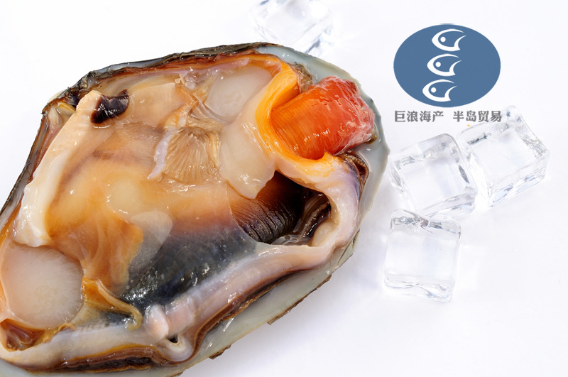 鲜活马贝 北极贝 北寄贝 北极贝刺身 马贝刺身 库页岛