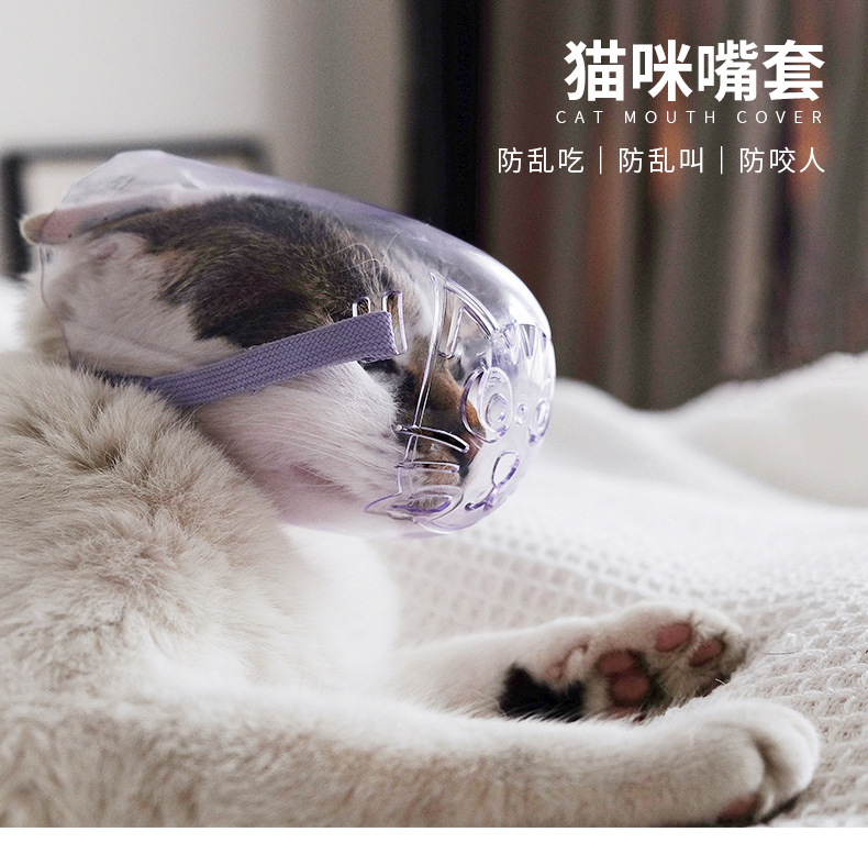 厂家现货猫咪防咬头套 镂空透明猫嘴套洗澡袋打针防咬头罩3只套装
