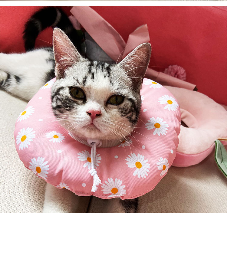 伊丽莎白圈软布宠物猫咪伊利沙白防舔头套耻辱项圈猫脖圈绝育用品