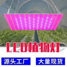 LED植物生长灯全光谱花卉多肉育苗种植灯室内量子板植物补光灯