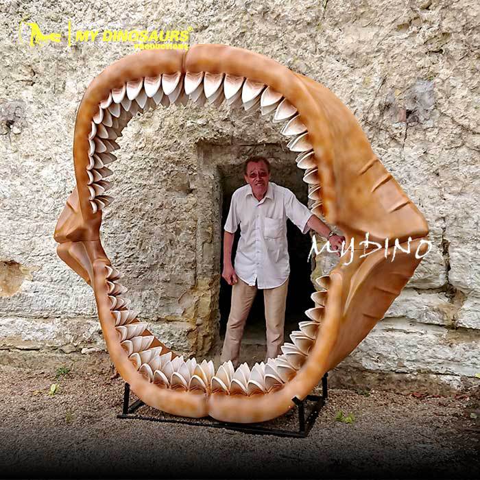 源头厂家-大型巨齿鲨下颌骨骼模型 仿真海洋动物骨架化石装饰摆件