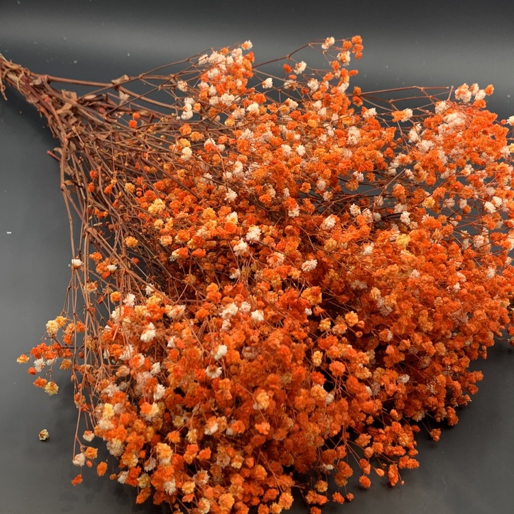 厂家花农满天星永生满天星插花花艺家居装饰婚庆节日送礼