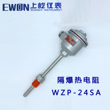 WZPK-24隔爆热电阻WZP-24SA双支温度传感器pt100 0-150度300℃450