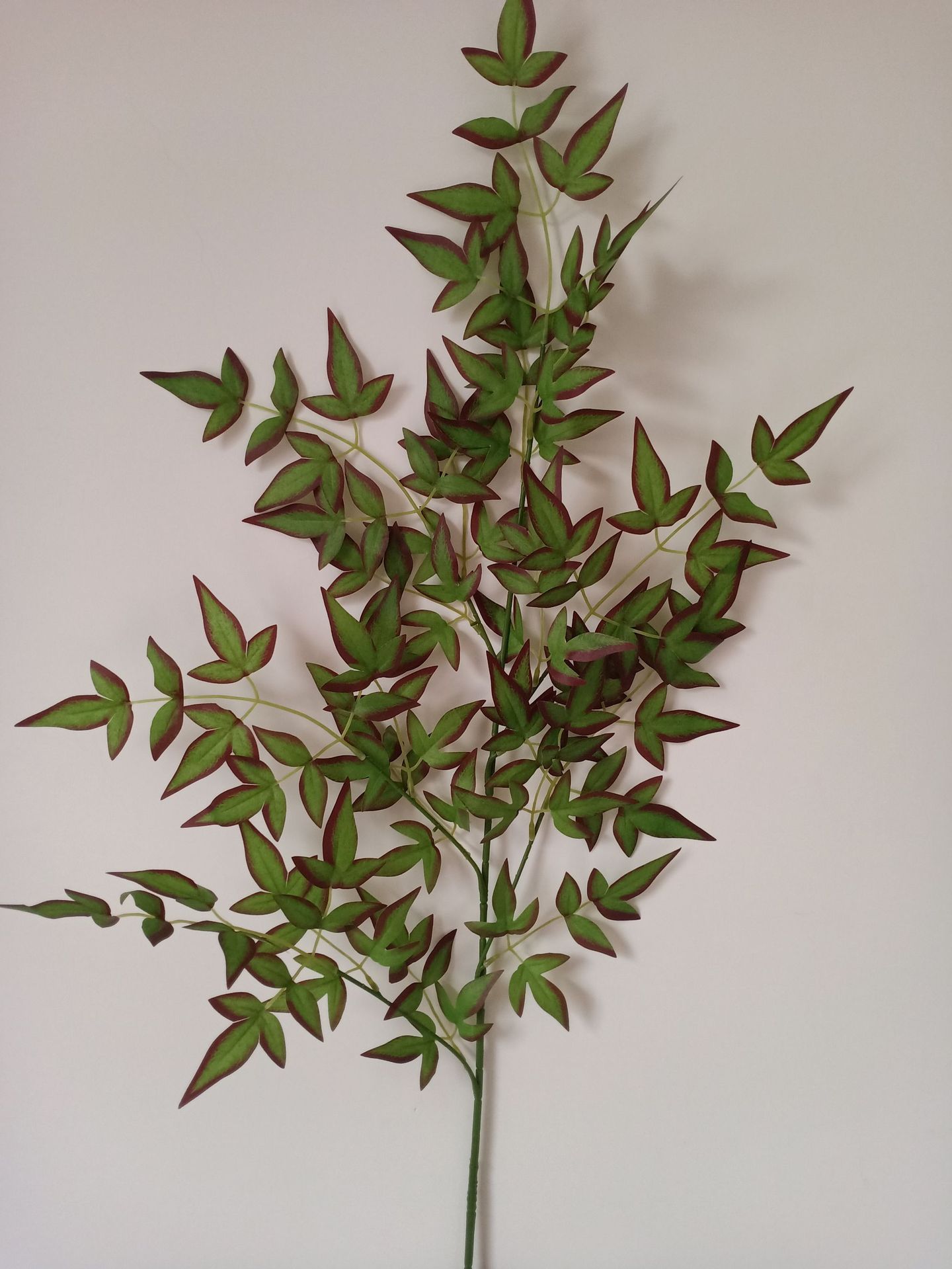 仿真南天竹仿真吊钟叶婚庆装饰金钱叶家居花艺插花配件玄关绿植