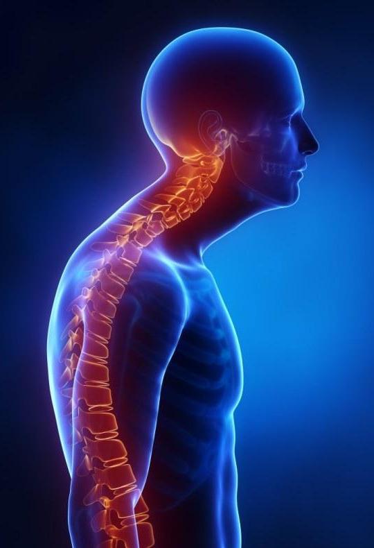 驼背训练方法整理:不管你是轻,中还是重度驼背,总有适合你的!