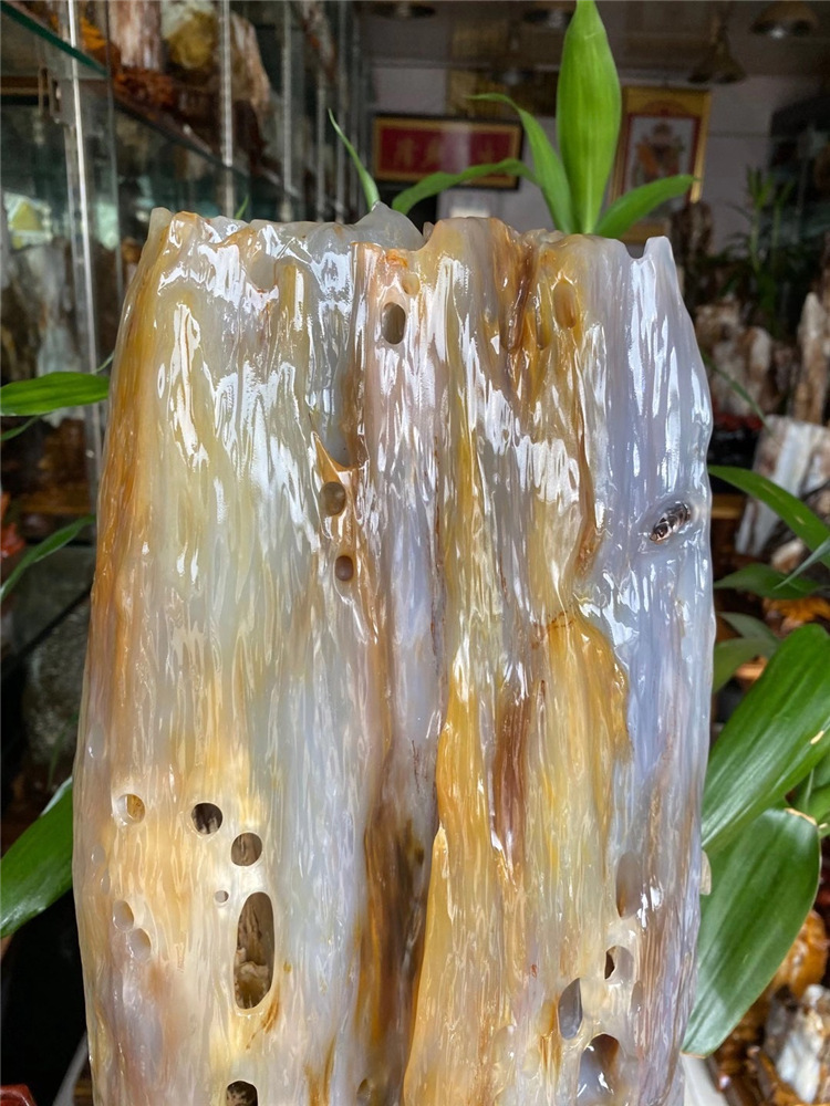 德柏高冰树化玉原石摆件硅化木天然树化石酒店会所大型奇石木化玉