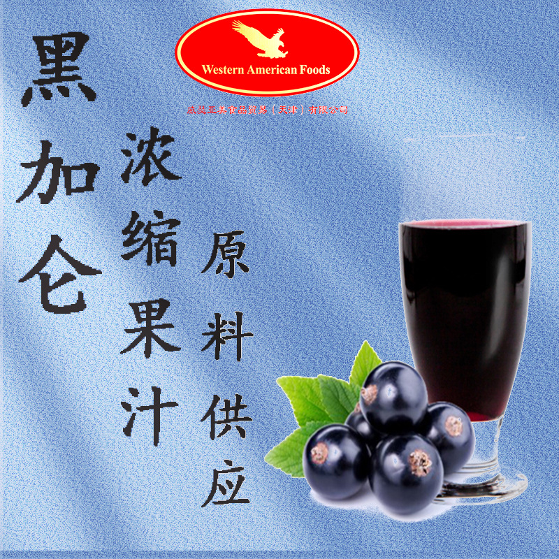 美国原装黑加仑浓缩汁6倍浓缩果汁食品原料 黑加仑原汁现货供应