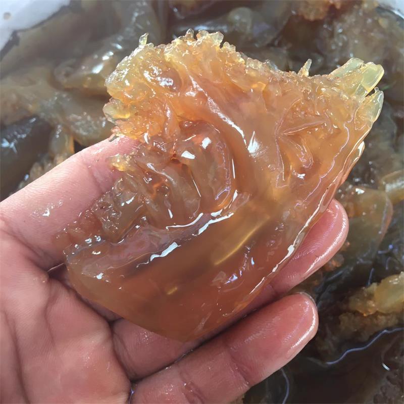 厂家批发海蜇头湛江海蜇花大角 桶装海蜇头非即食海蜇头2斤起批发