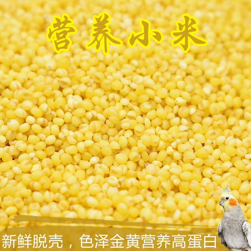 新黄无壳谷子小米 中小型虎皮牡丹玄凤鹦鹉鸟粮鸟食鸟饲料1斤包邮